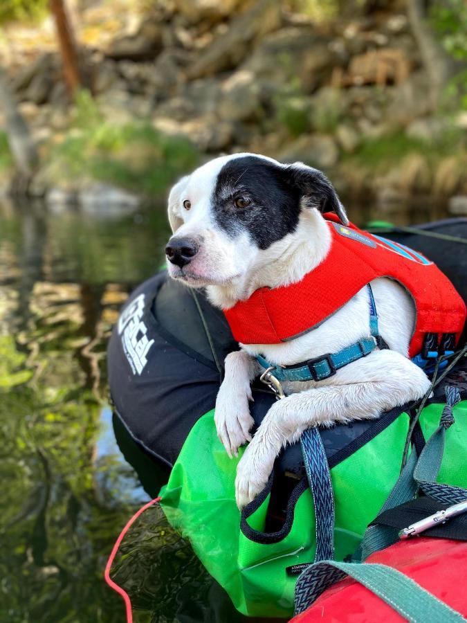 Socal Camping カーンビル エクステリア 写真